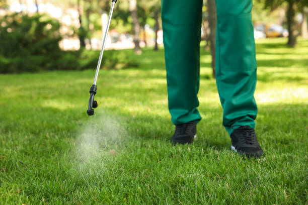 Best Cockroach Control Services  in Highland Beach, FL