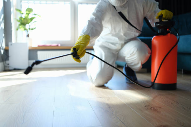 Insect Control in Highland Beach, FL