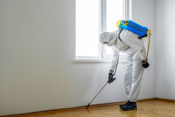 Pest Prevention Services in Highland Beach, FL