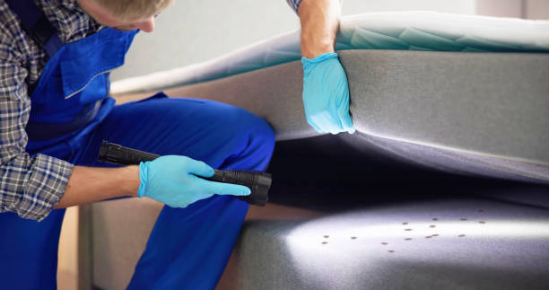 Best Affordable Pest Control Services  in Highland Beach, FL