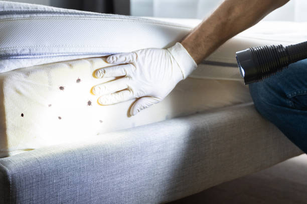 Best Best Pest Control Companies  in Highland Beach, FL